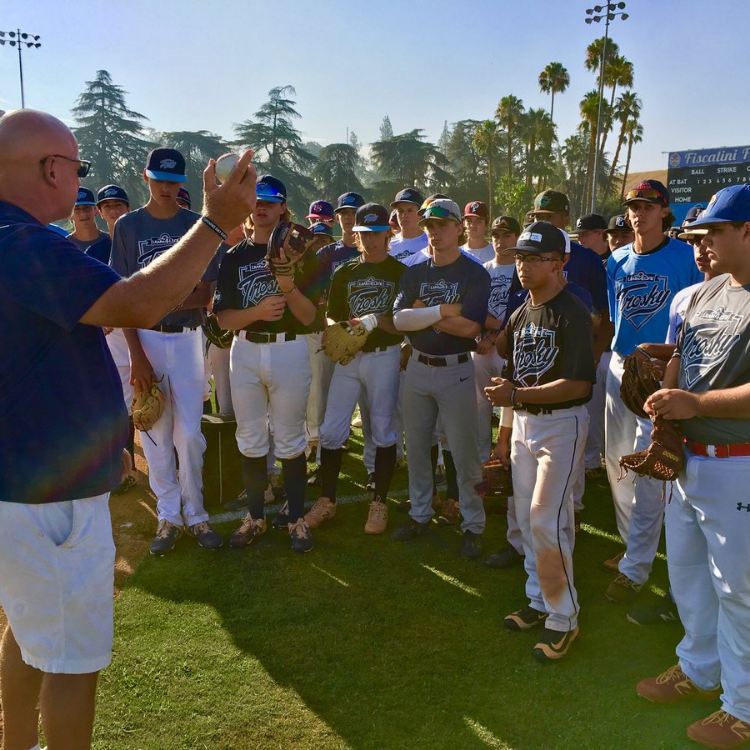 The Quality At-Bats Mental Training Course